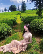 IMG_1278.png